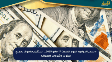 «سعر الدولار» اليوم السبت 17 مايو 2025.. استقرار ملحوظ بجميع البنوك وشركات الصرافة